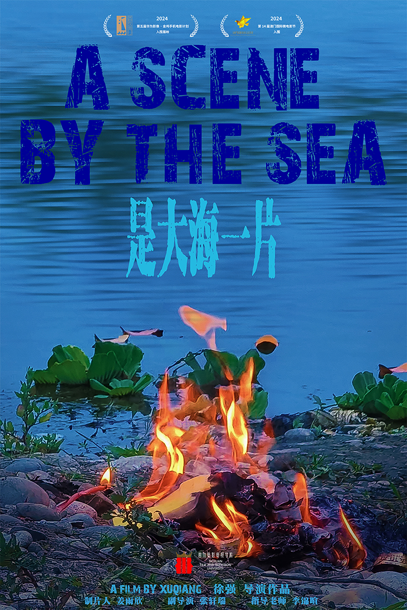 是大海一片